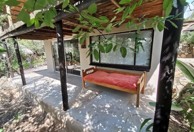 בית מלון כפרי Mali Mali Safari Lodge