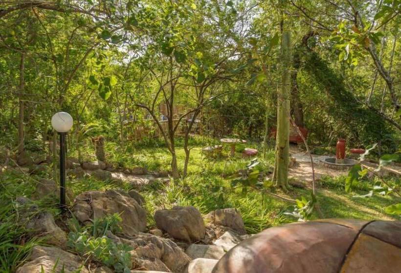 בית מלון כפרי Mali Mali Safari Lodge