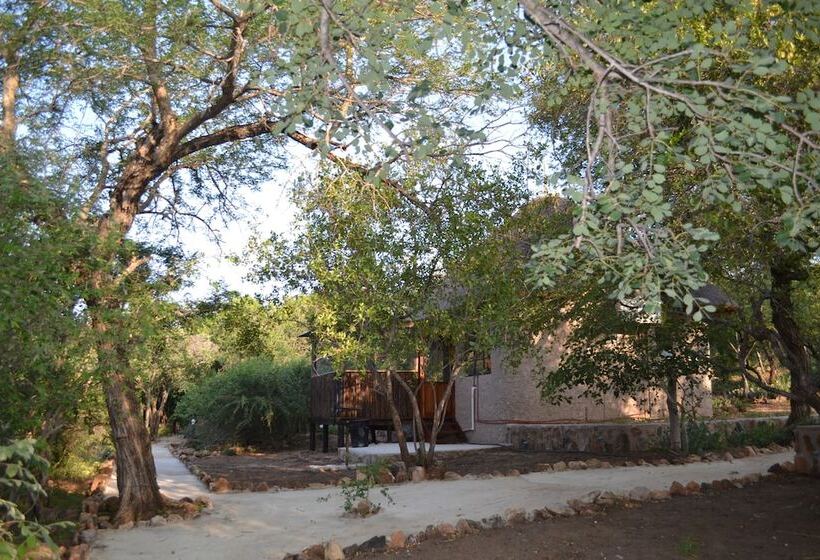 בית מלון כפרי Mali Mali Safari Lodge