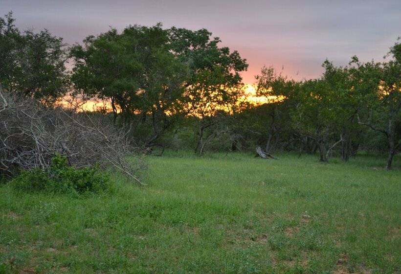 בית מלון כפרי Mali Mali Safari Lodge