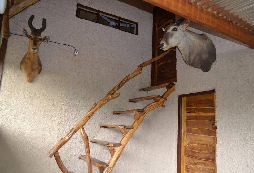 בית מלון כפרי Mali Mali Safari Lodge