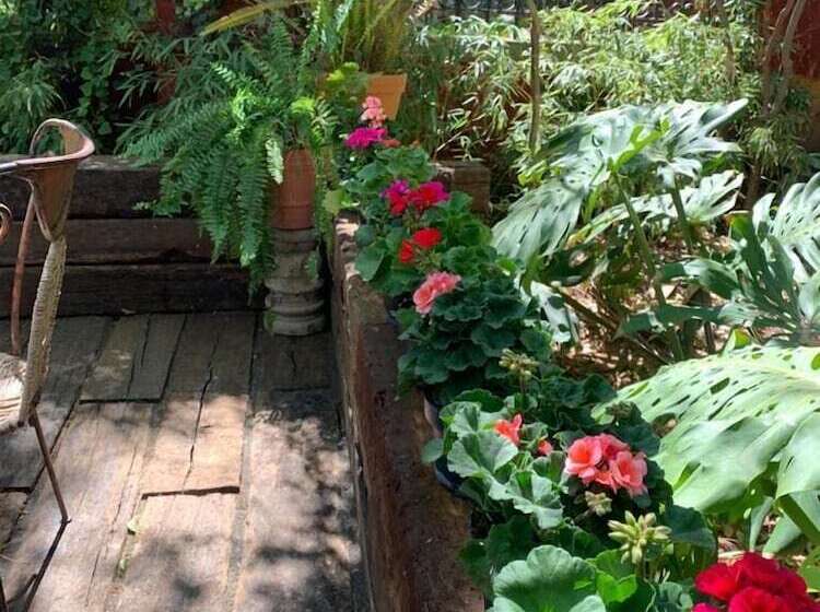 בית מלון כפרי Hacienda Tzintzimeo