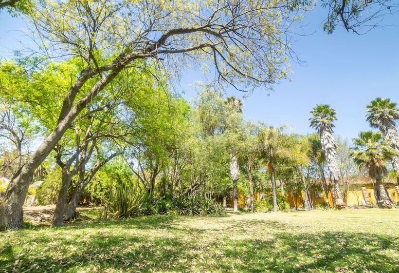 בית מלון כפרי Hacienda Tzintzimeo