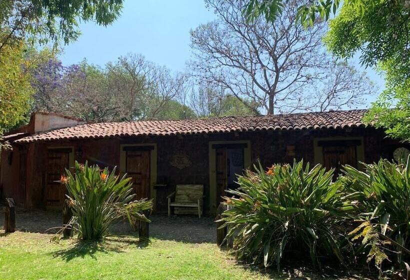 בית מלון כפרי Hacienda Tzintzimeo