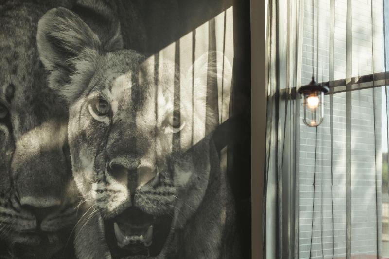 Hotel Holiday Inn   The Niu, Leo Nuremberg By Ihg