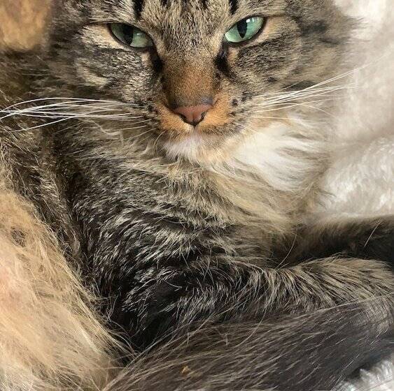 فندق على الطريق South Jetty Inn