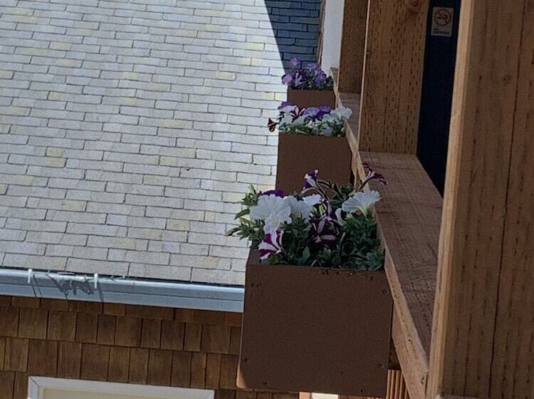 فندق على الطريق South Jetty Inn