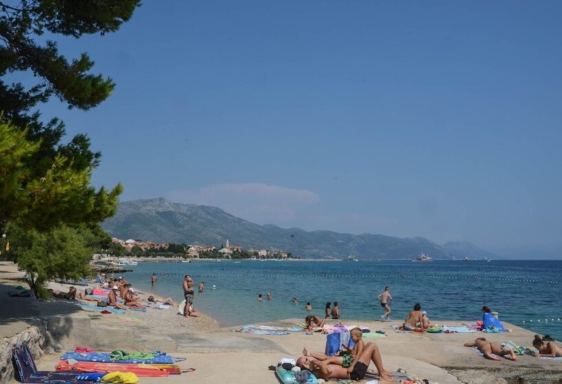 פנסיון Guesthouse Papica