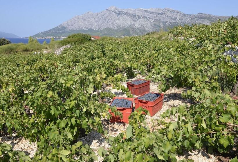 פנסיון Guesthouse Papica