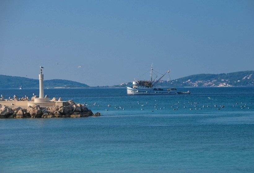 פנסיון Guesthouse Papica