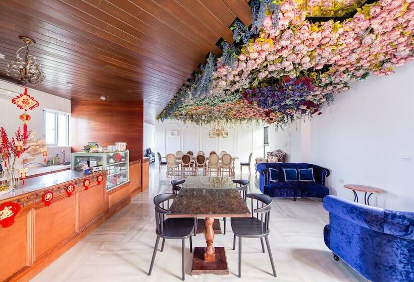 پانسیون Dream Valley