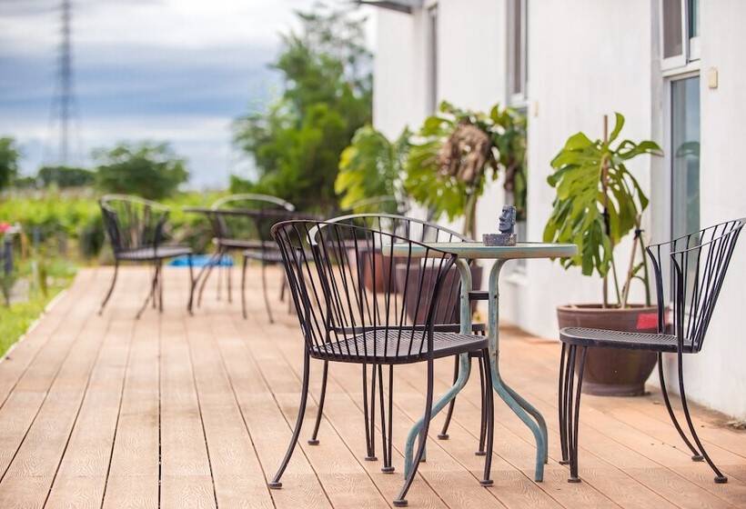 پانسیون Dream Valley