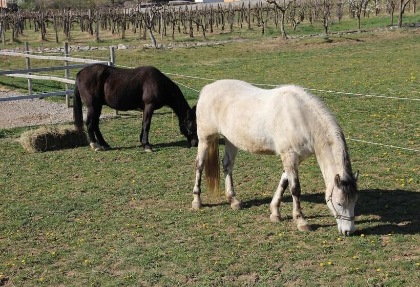 پانسیون Guesthouse Ošterija