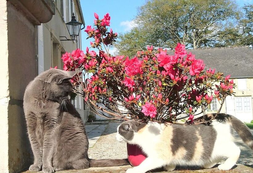 Пансион Manoir De Conjon