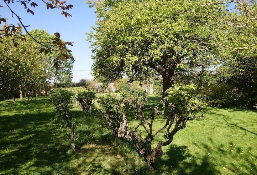 Пансион Manoir De Conjon