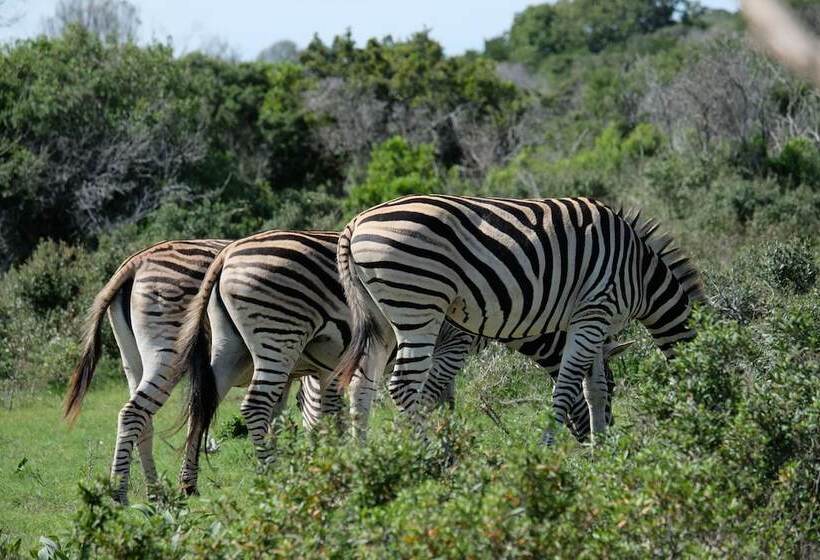 פנסיון Seven Fountains Farm