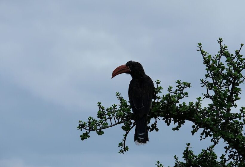 פנסיון Seven Fountains Farm