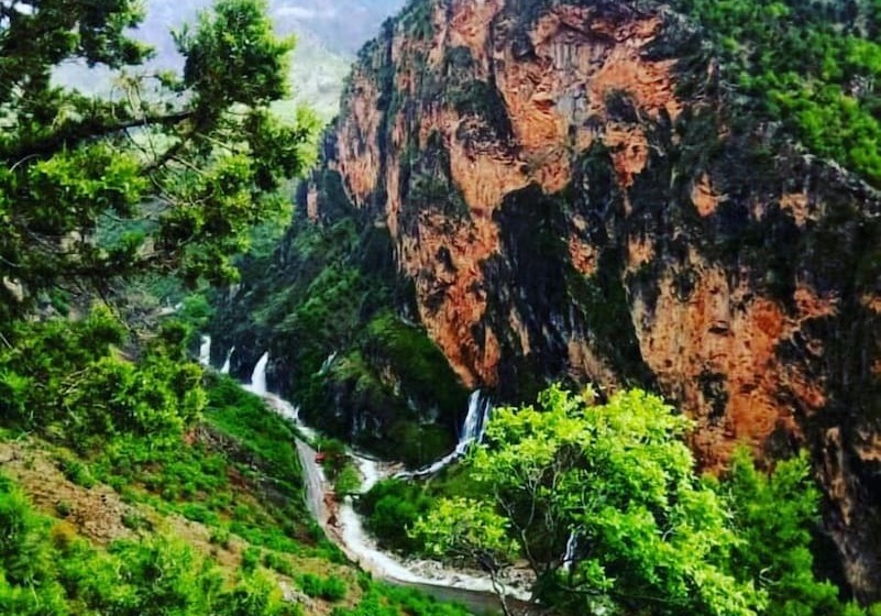 Rengarenk Otel & Restorant