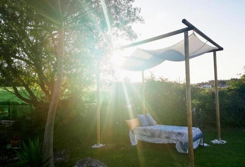 تختخواب و صبحانه Quinta Sao Martinho