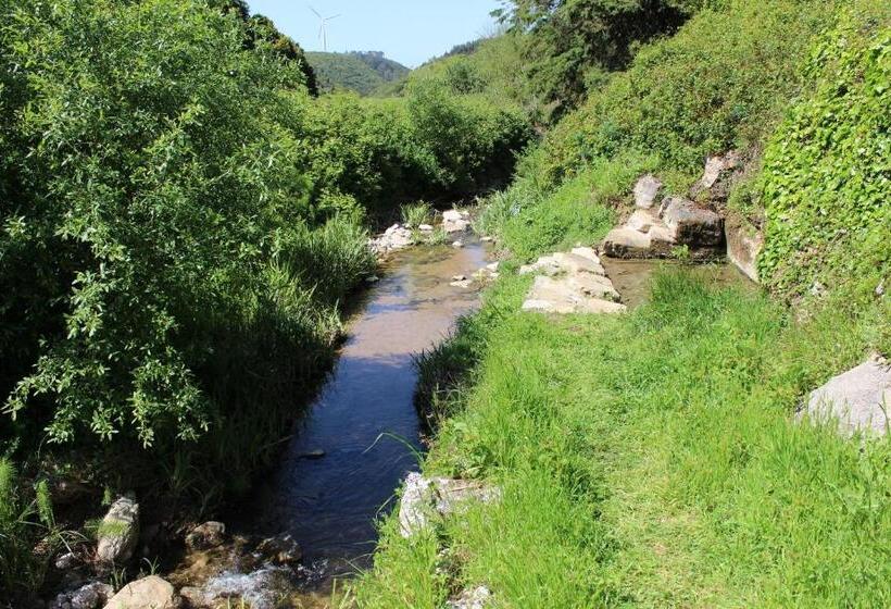 تختخواب و صبحانه Quinta Sao Martinho