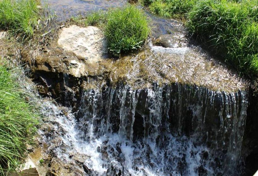 تختخواب و صبحانه Quinta Sao Martinho