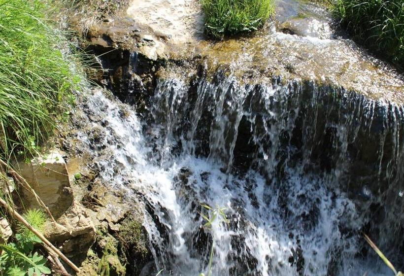 تختخواب و صبحانه Quinta Sao Martinho