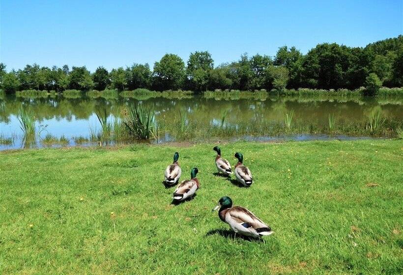 فندق Camping Campilo