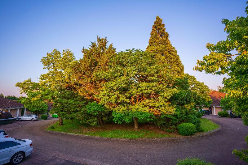 ホテル Kyriad Sens