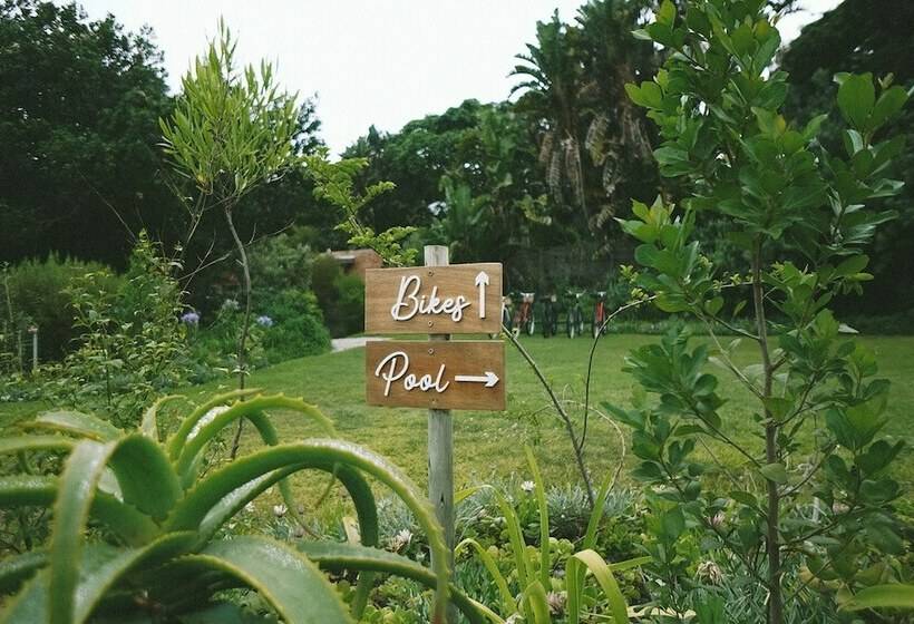 酒店 Lovemore Lodges Knysna