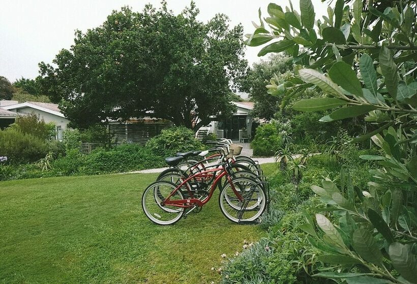 酒店 Lovemore Lodges Knysna