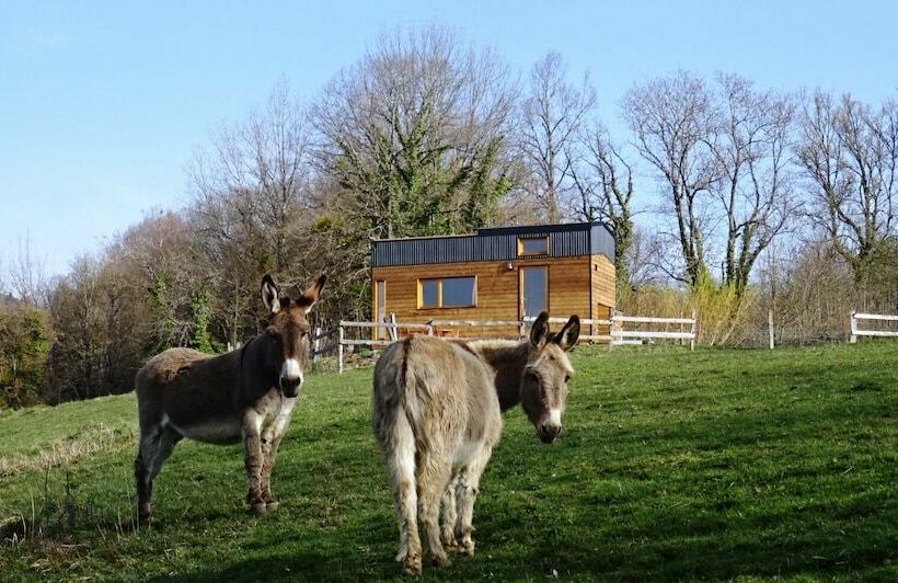 פנסיון La Tête Dans Les étoiles