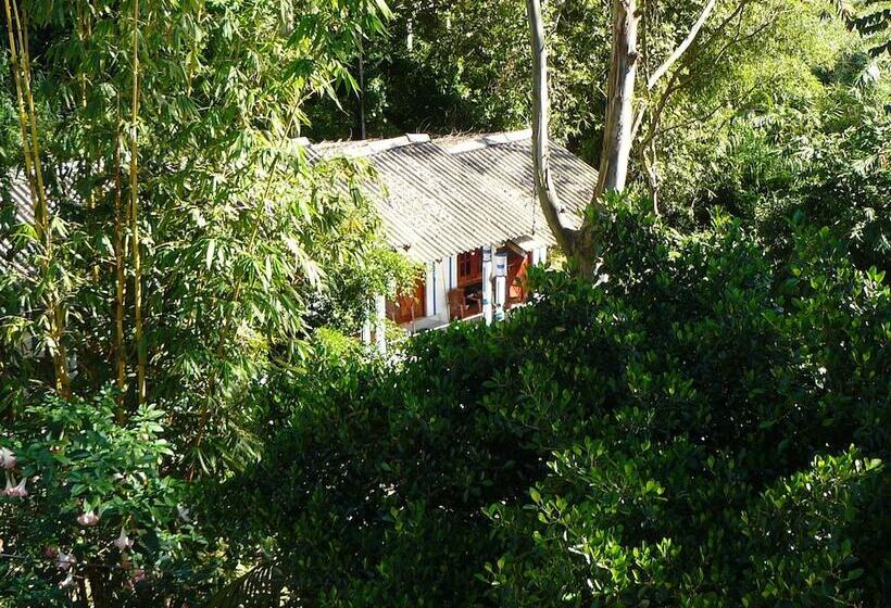 Пансион White House Adam`s Peak