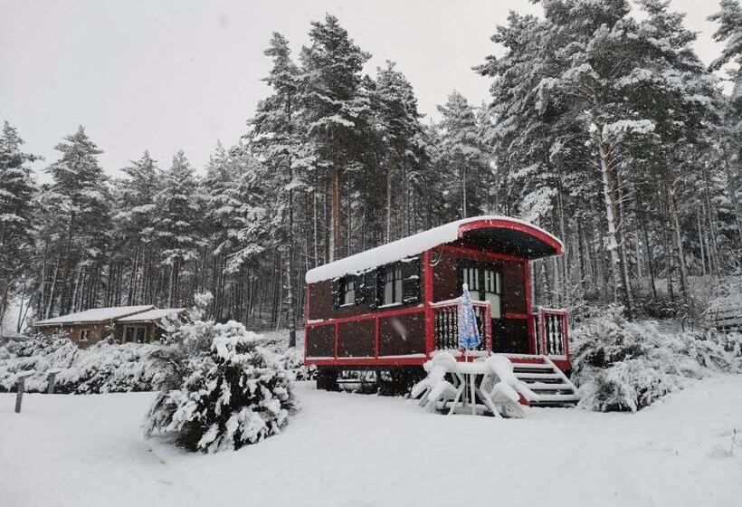 منتجع Les Chalets Du Hautforez