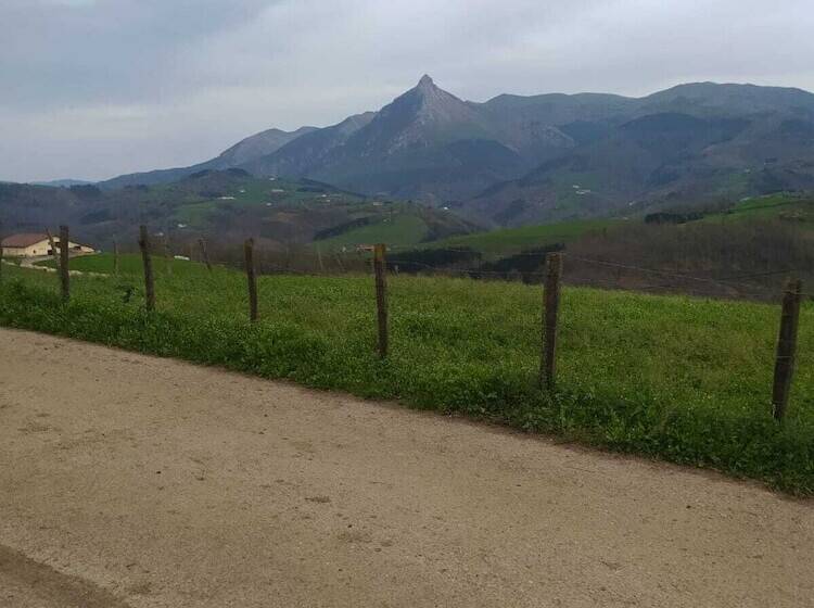 Alarpe Aterpetxea   Hostel