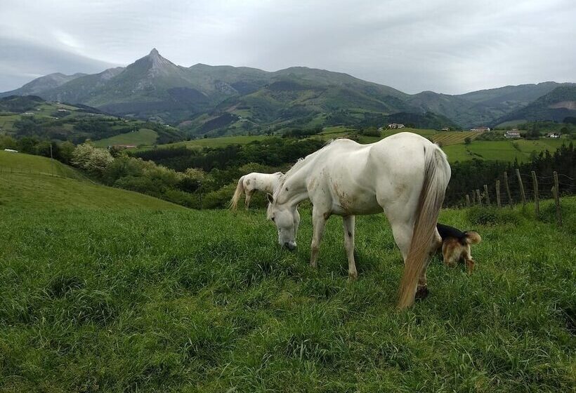 Alarpe Aterpetxea   Hostel