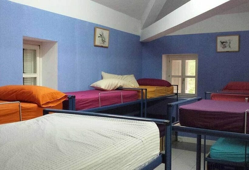 Lizarrusti Parketxea   Hostel