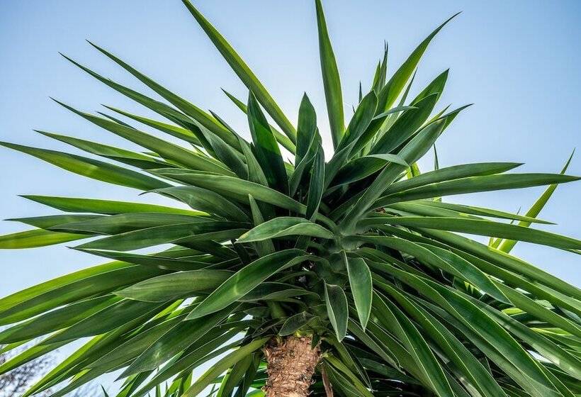 B&b Casa Arena Sevilla