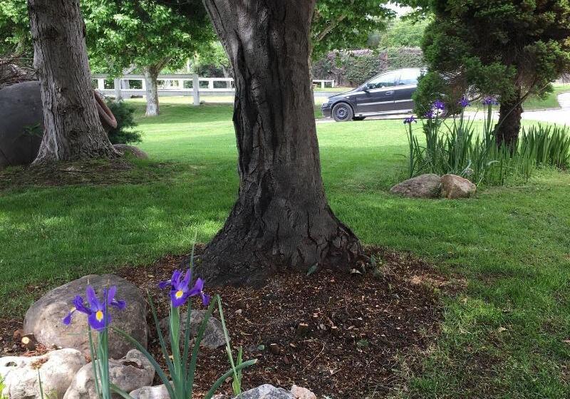 B&b Yeguada La Parrilla