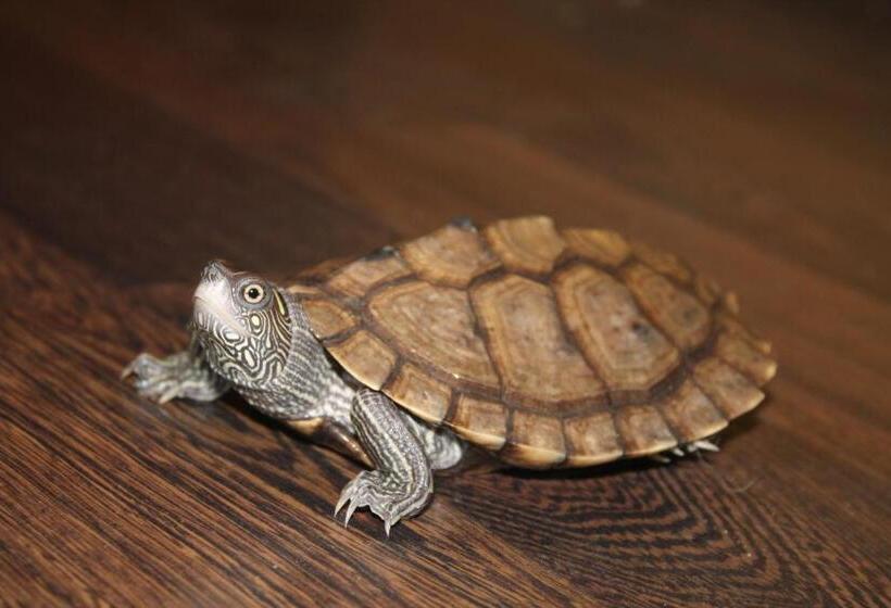 فندق صغير Estudios El Puntual De Romillo