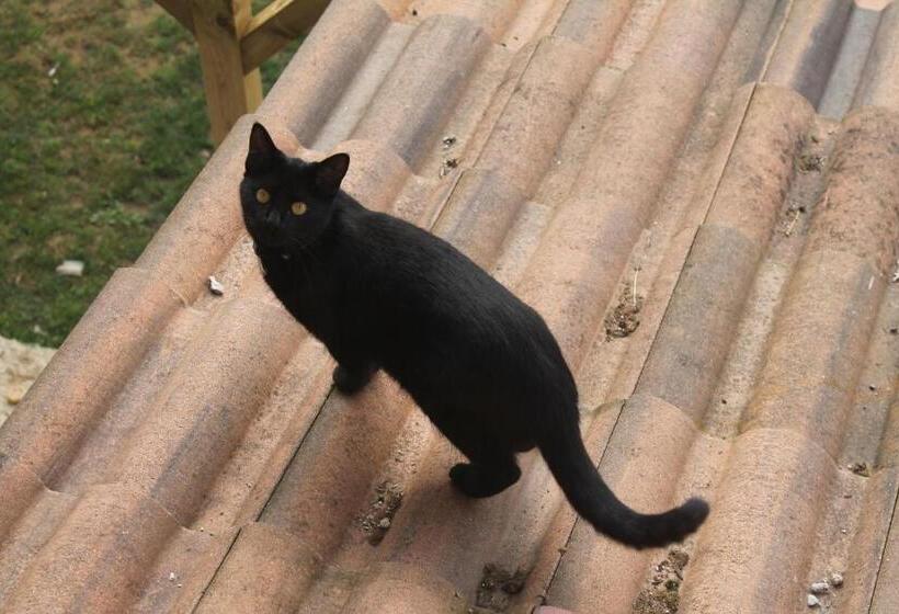 فندق صغير Estudios El Puntual De Romillo