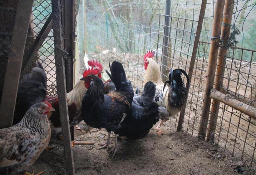 فندق صغير Estudios El Puntual De Romillo