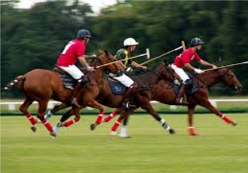 فندق Hurlingham Club