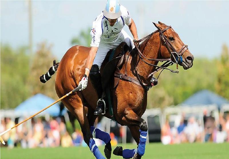 فندق Hurlingham Club