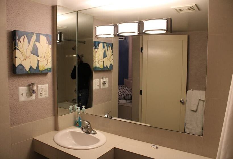 酒店 Royal Budget Inn