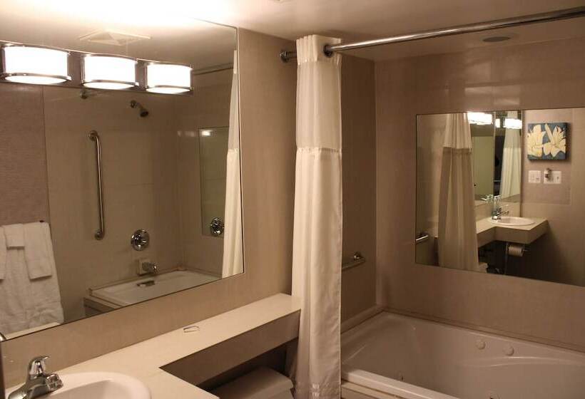 호텔 Royal Budget Inn