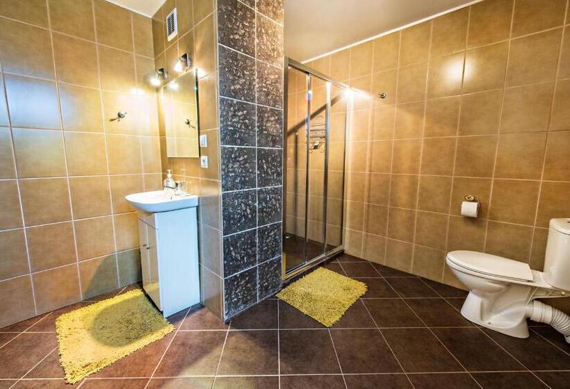 酒店 Willa Wiluszówka