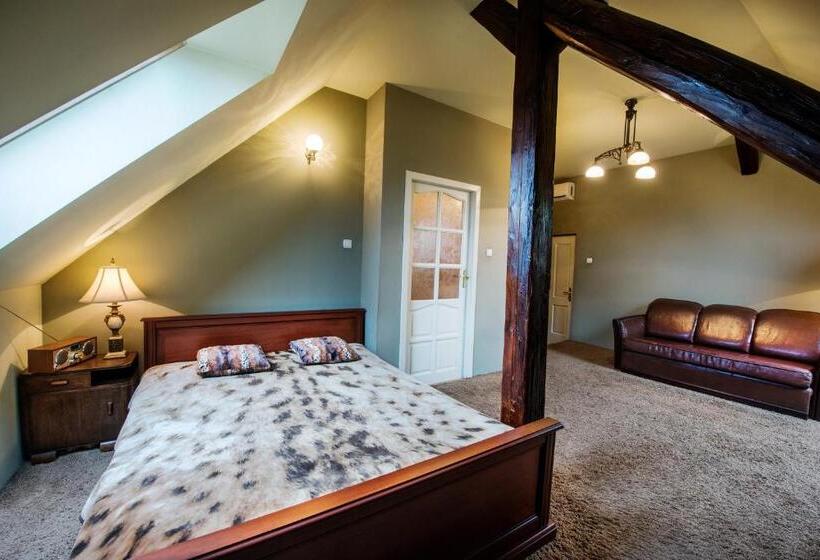 酒店 Willa Wiluszówka