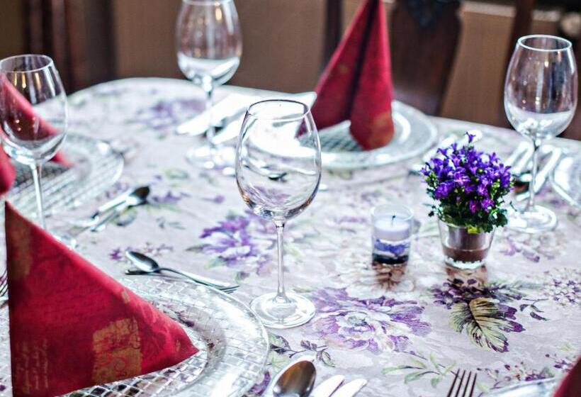 酒店 Willa Wiluszówka