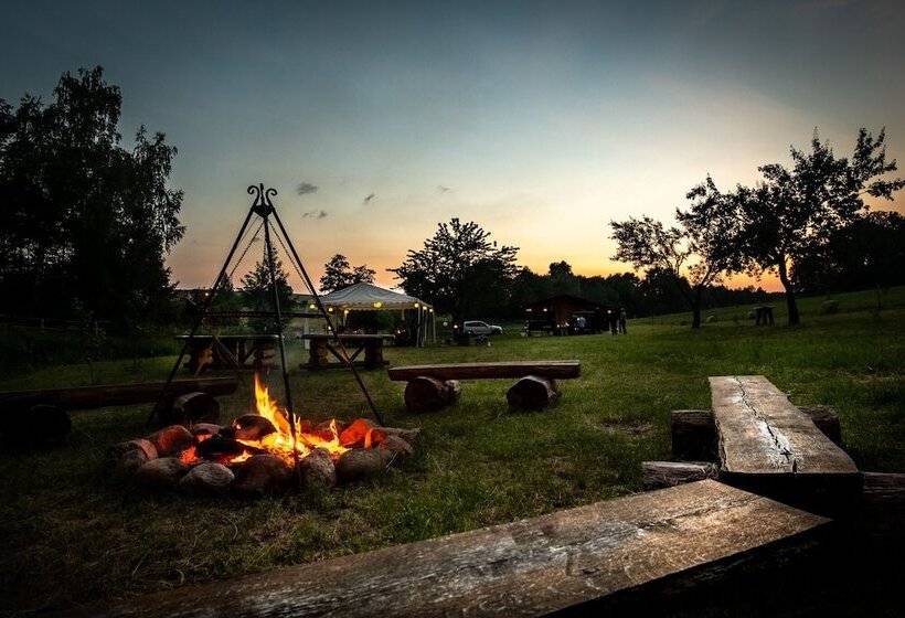 פנסיון Akademia Kuraszkow