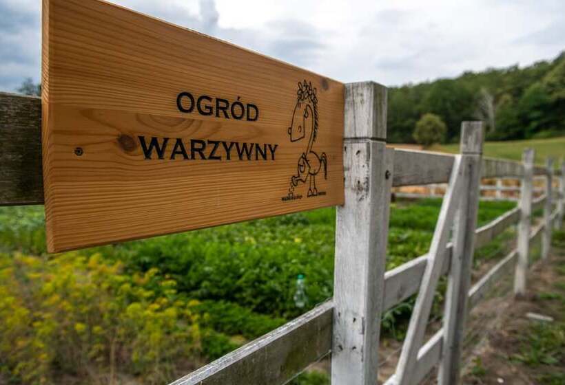 פנסיון Akademia Kuraszkow